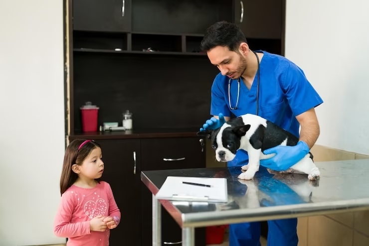 elementary-girl-taking-her-beautiful-pet-vet-because-injury-professional-latin-veterinarian-working-
